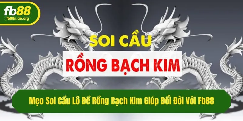 Mẹo Soi Cầu Lô Đề Rồng Bạch Kim Giúp Đổi Đời Với Fb88