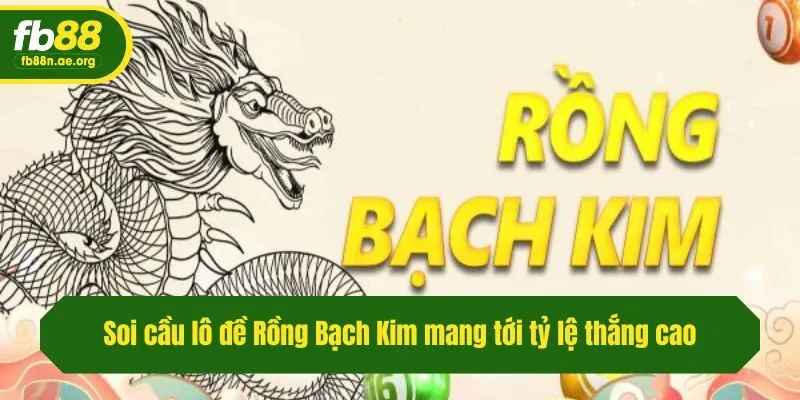 Soi cầu lô đề Rồng Bạch Kim mang tới tỷ lệ thắng cao